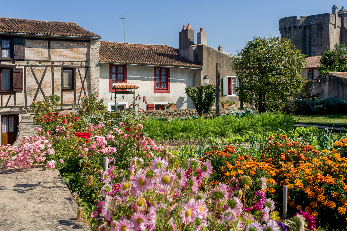 Maisons à colombages, rue du Château.