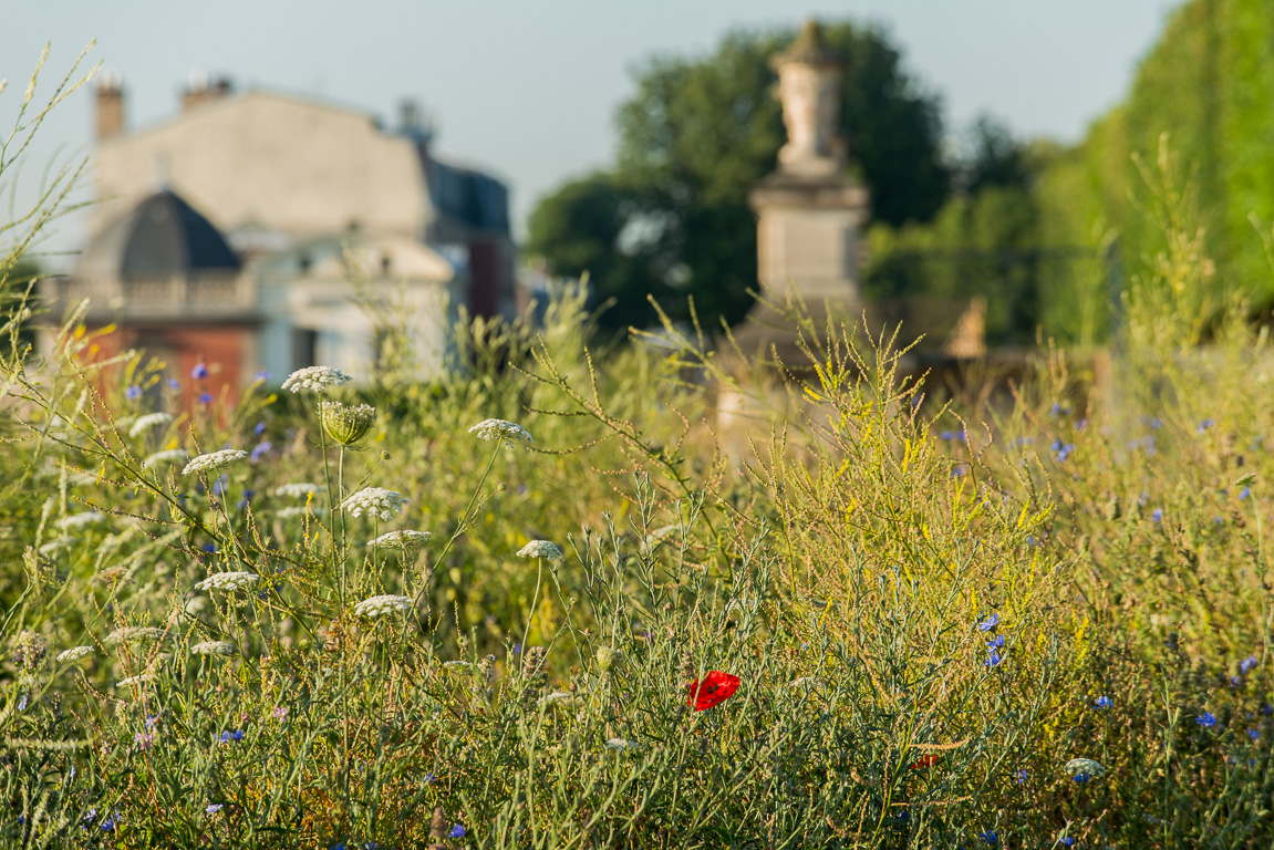 Le Pavillon Henri IV et le jardin à l'anglaise.