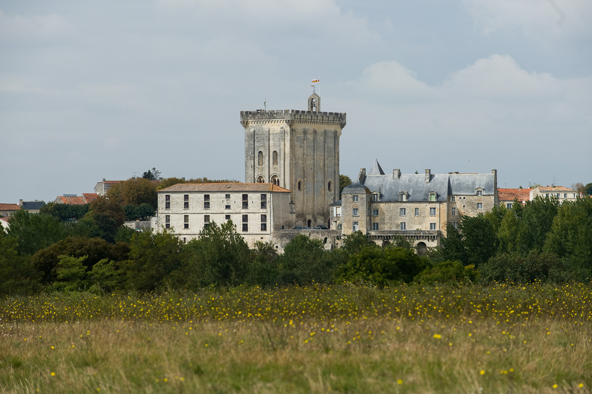 17800 Pons, le donjon de 30 m de haut.