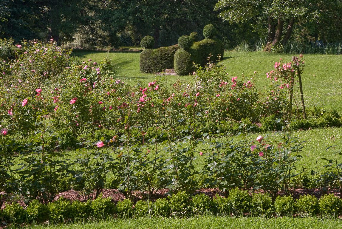 18200 Ainay le Vieil Château roseraie