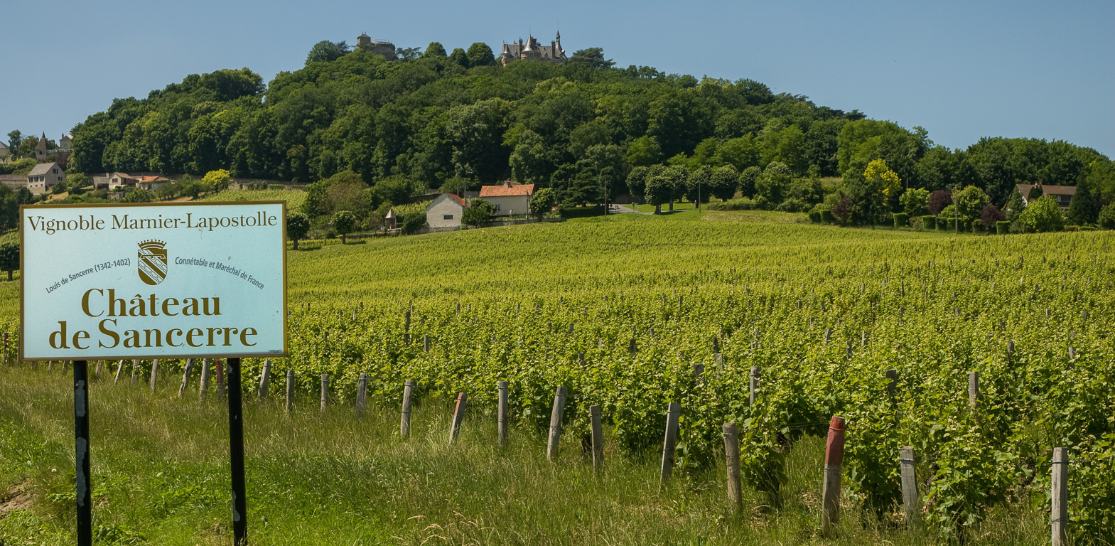 18300 Sancerre vignoble et vue sur le château