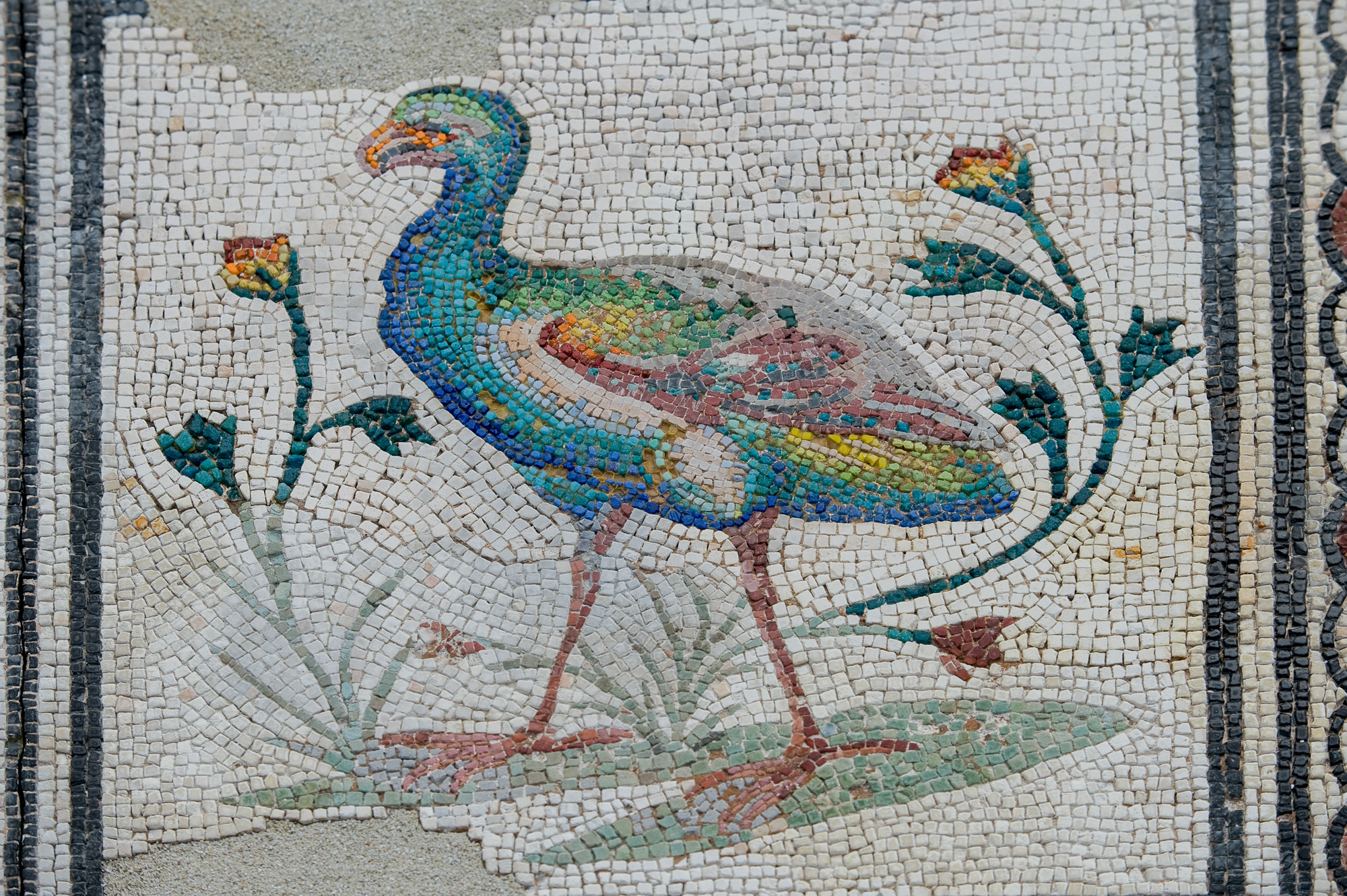 Musée archéologique, fouilles extérieures : mosaïques.