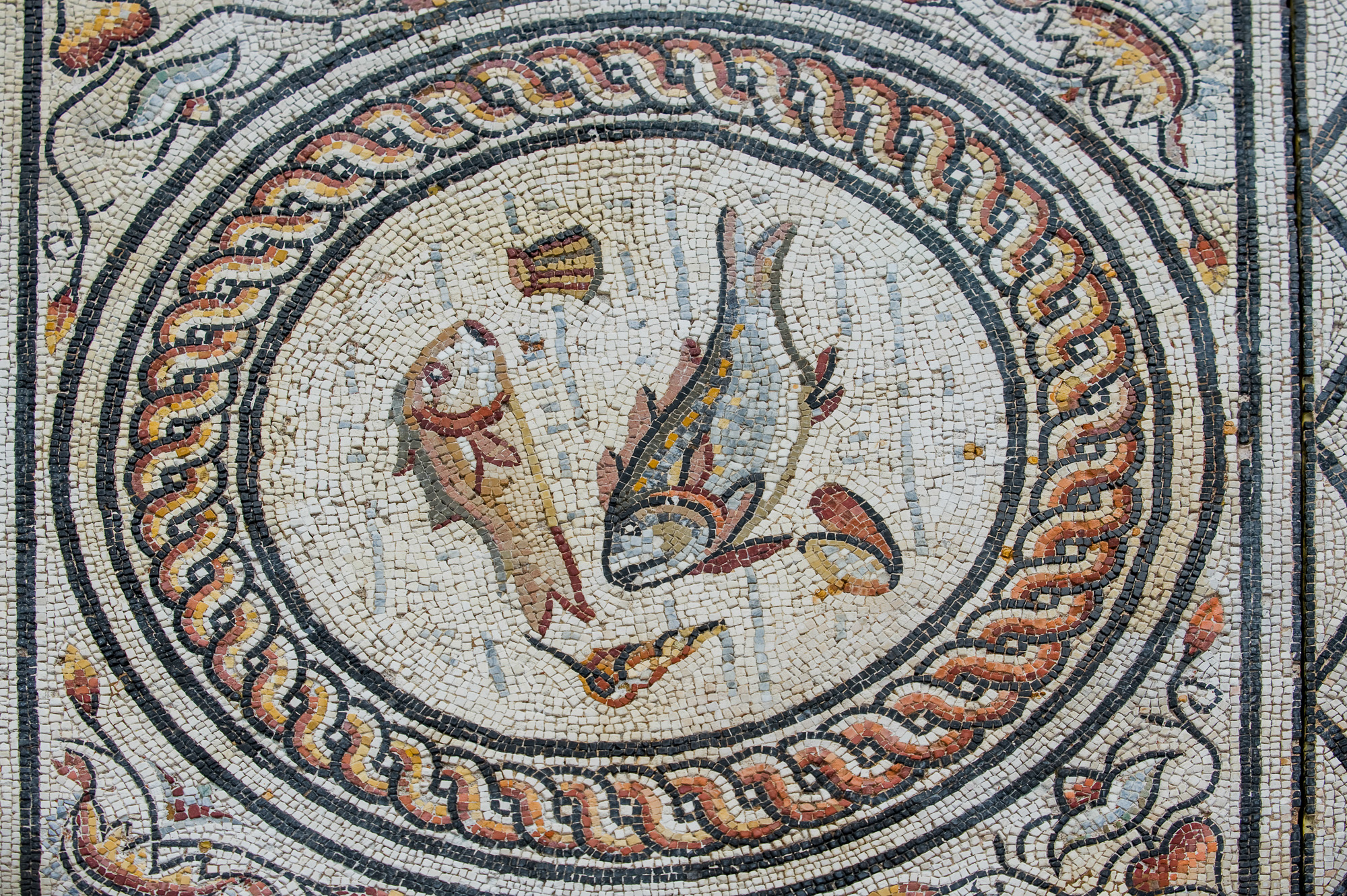Musée archéologique, fouilles extérieures : mosaïques.