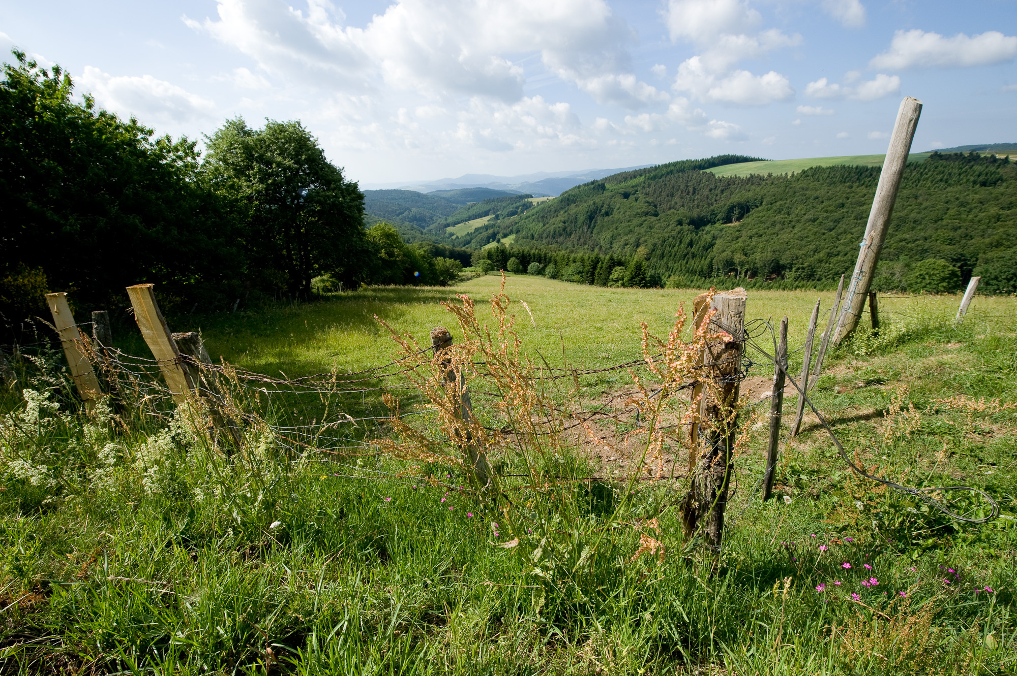 Pélussin, le Pilat Le Bessat -Crêt de Peyranne.