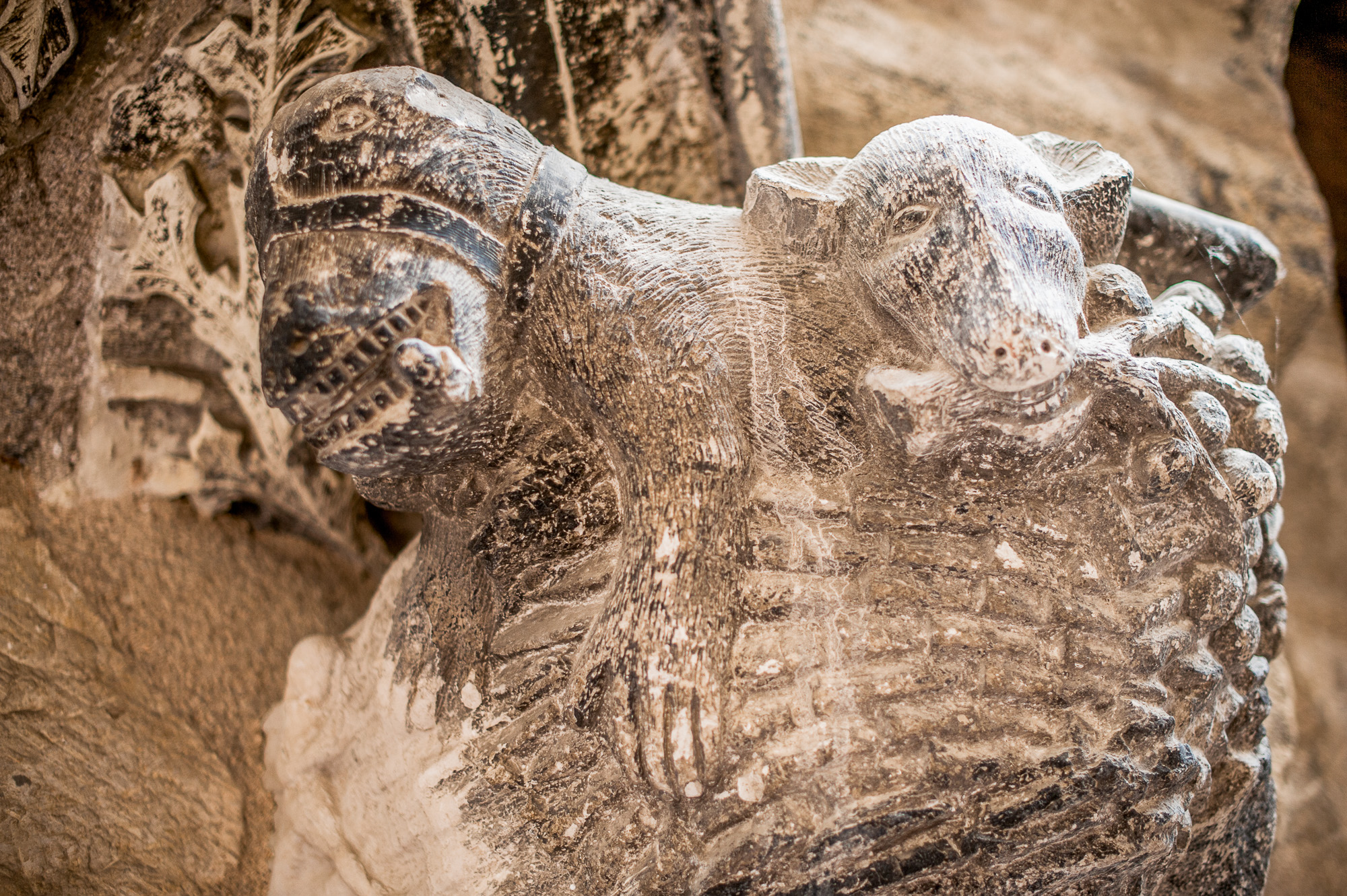 Maison Gaubert, fin du XVème Siècle. Culot sculpté. Un cheval? et un autre qui tient une branche de pommier dans la bouche, pouvant évoquer le péché originel.