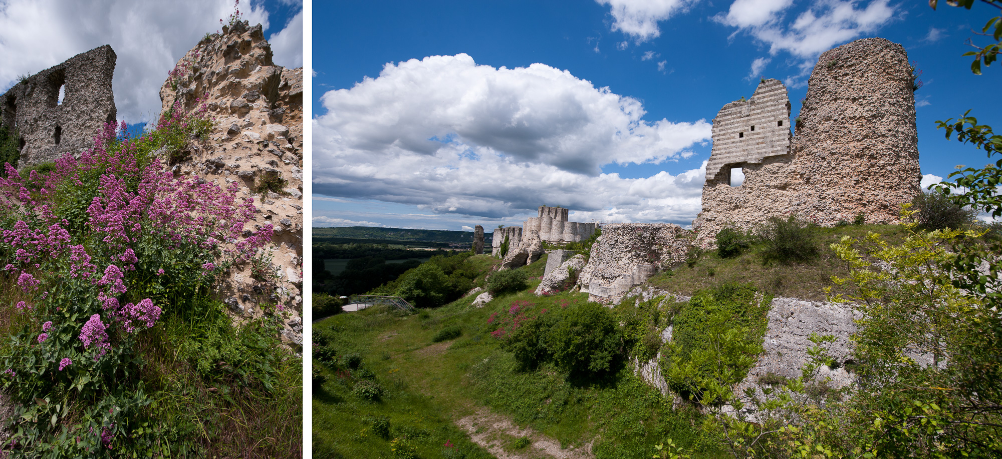 Vestiges du château Médiéval de Château-Gaillard