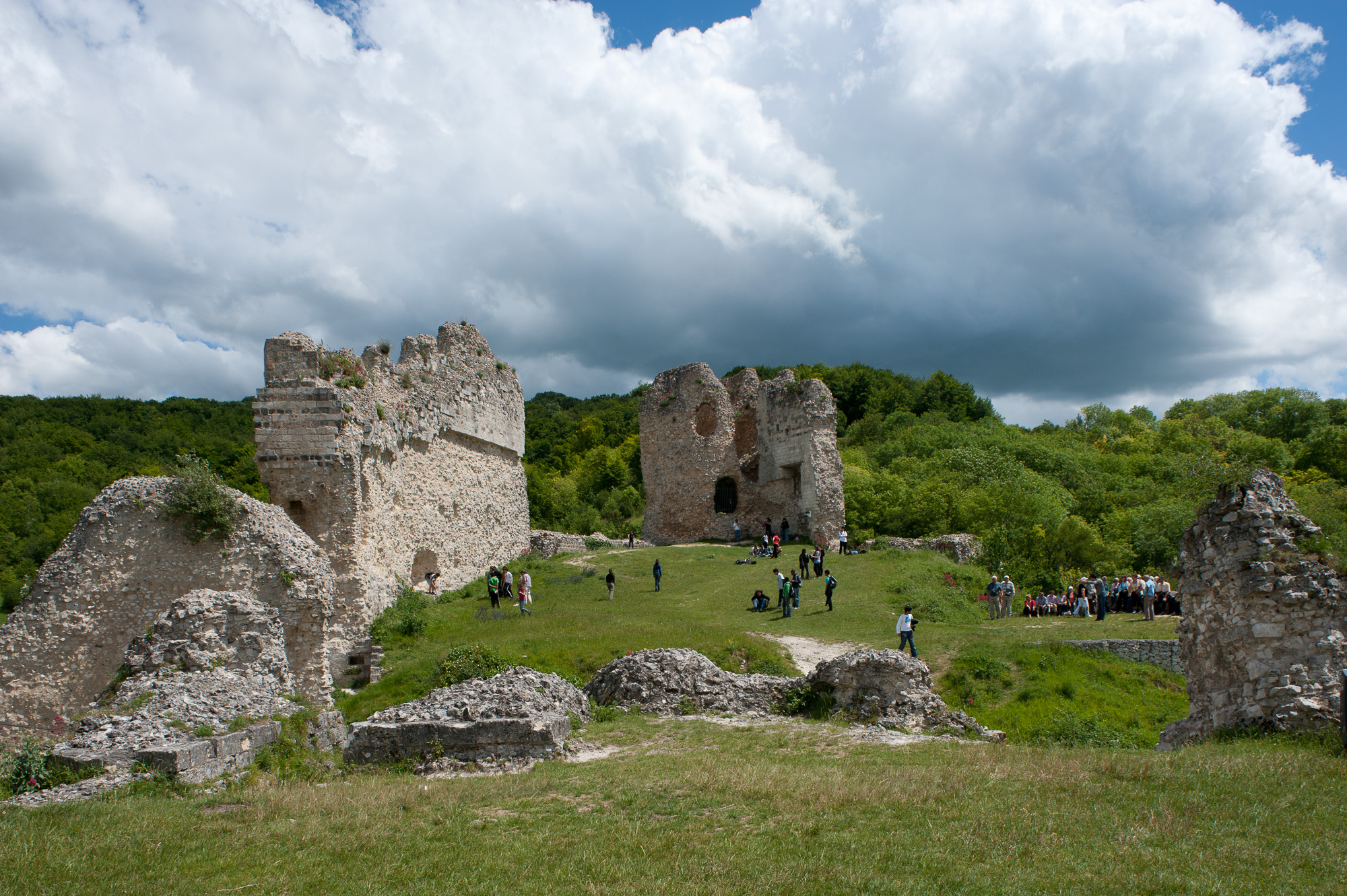 Vestiges du château Médiéval de Château-Gaillard