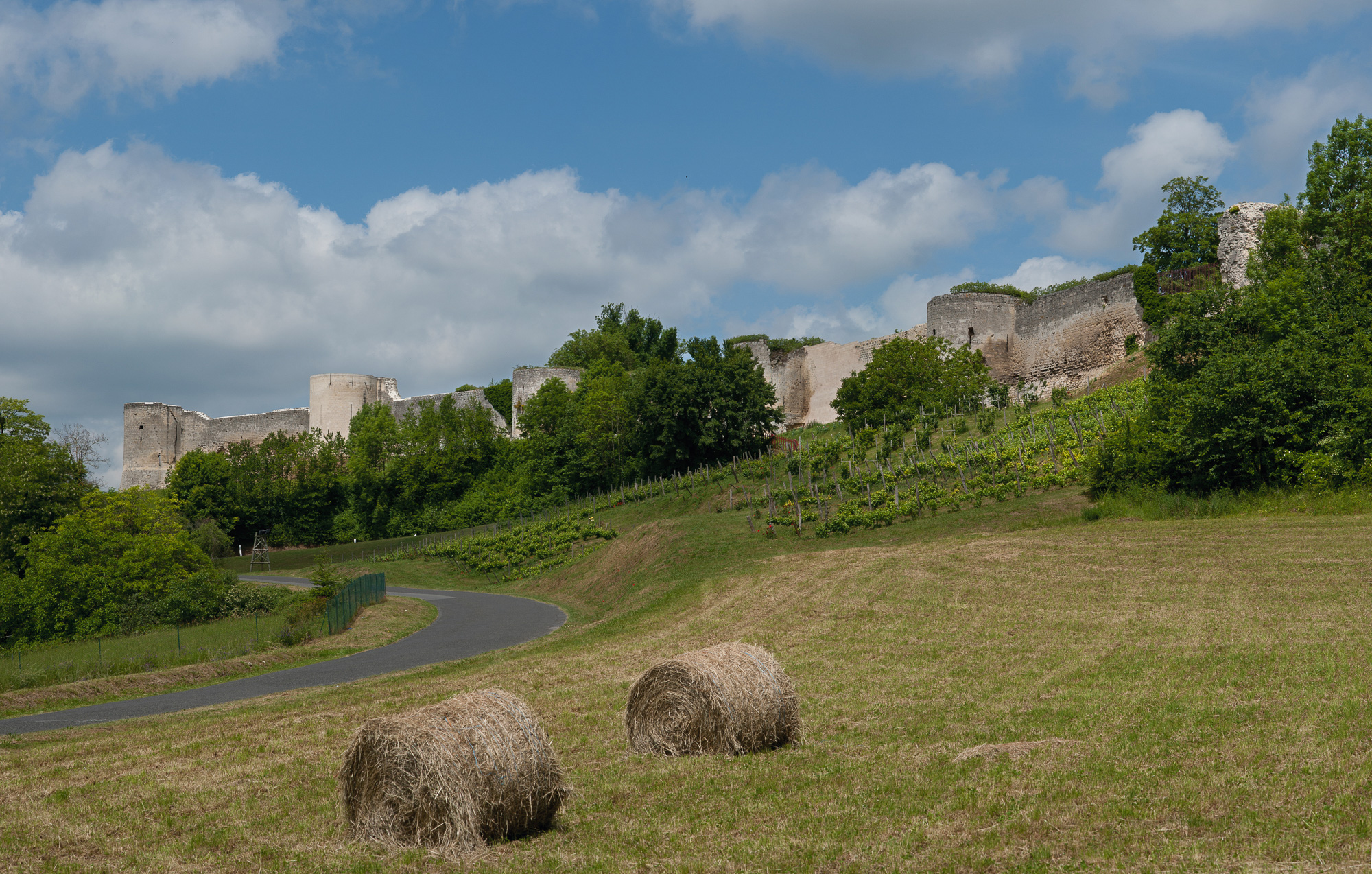 Vestiges du Château-Fort du XIII ème siècle. L'enceinte fortifiée (1700 m de long) domine de ses 60 mètres la vallée de l'Ailette et les vignobles du terroir.