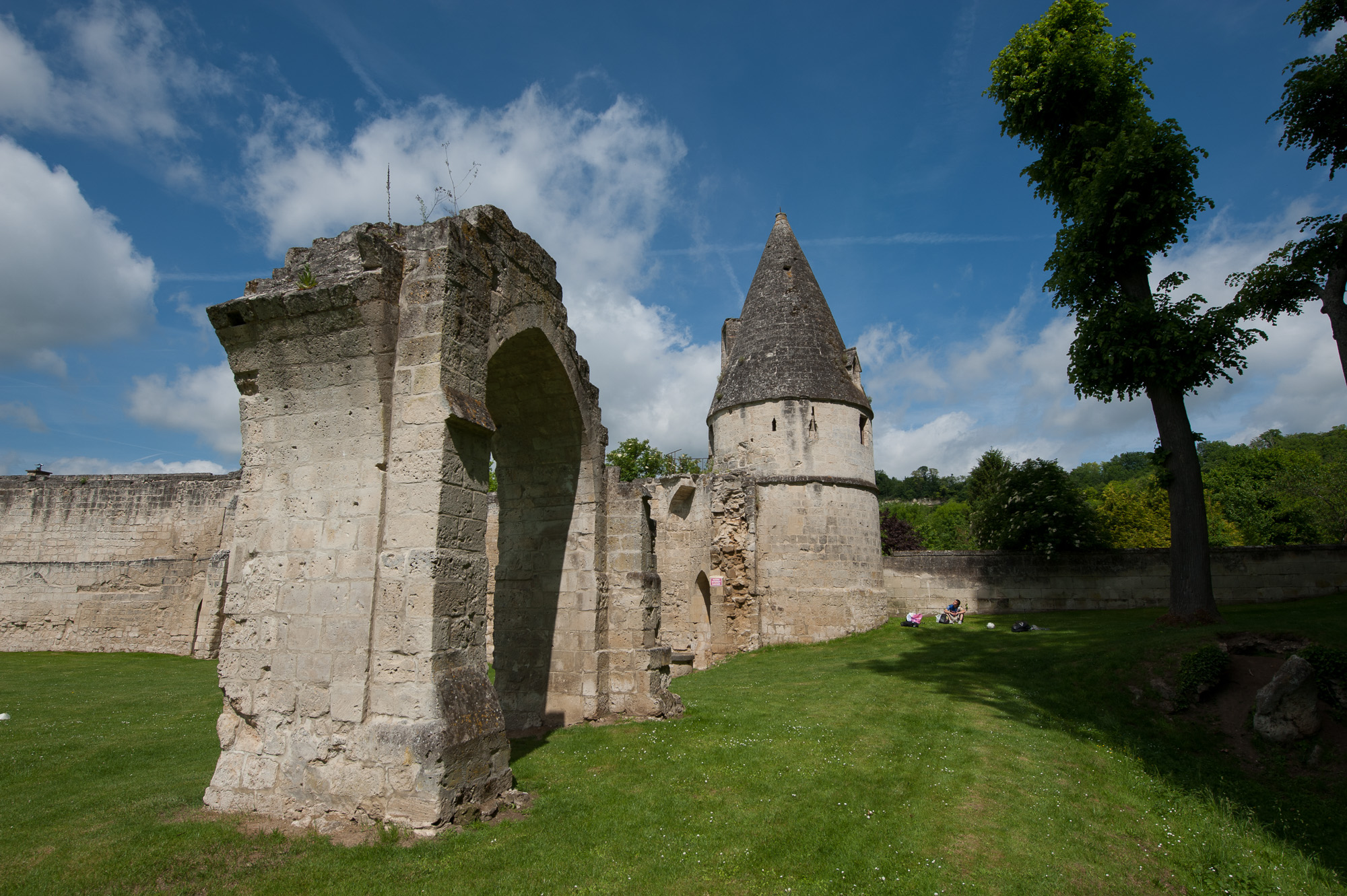 Vestiges du Château. L'enceinte et les tourelles datant du XIII ème siècle.