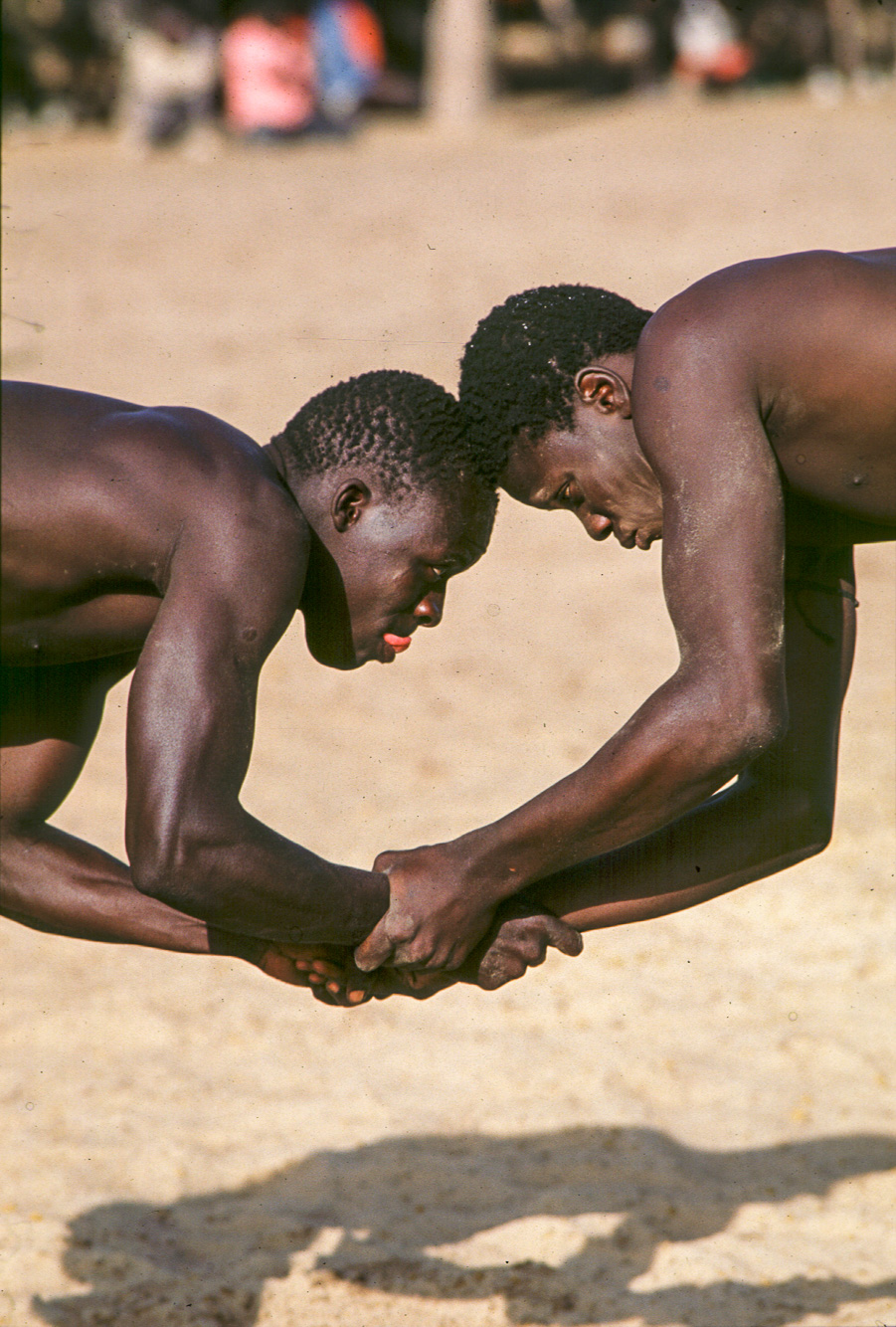 Lutte traditionnelle sénégalaise