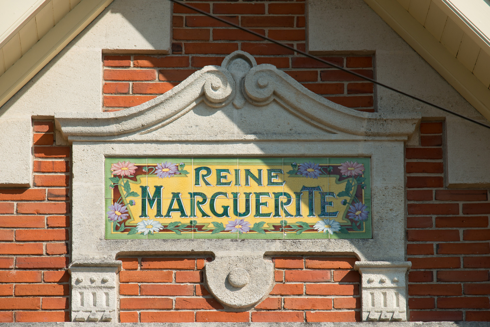 "Reine Marguerite"