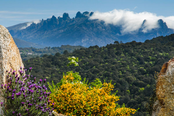 FRANCE CORSE ALTA ROCCA LES AIGUILLES DE BAVELLA