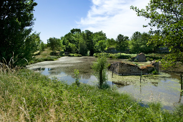 L'étang De Lemps Et L'écluse D'Optervoz. Ruines Peintes Par Charles François Daubigny Et Camille Corot.