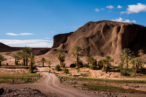 Ouarzazate. Oasis De Fint